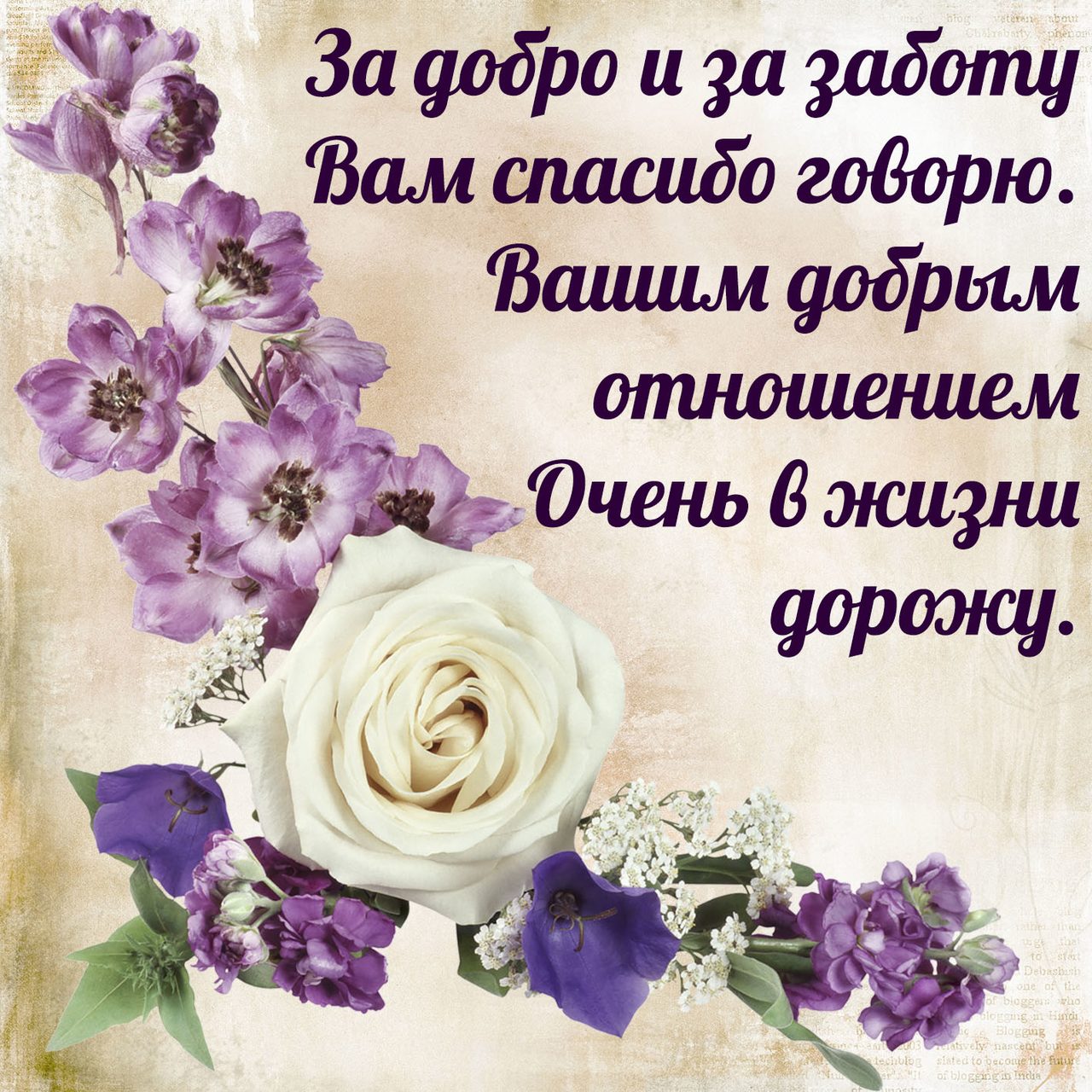 Открытка