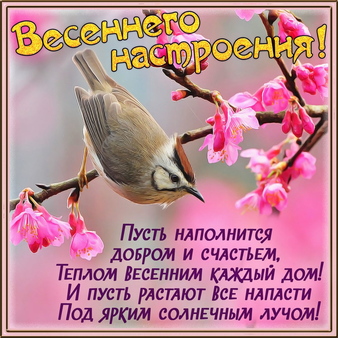 Приятные слова