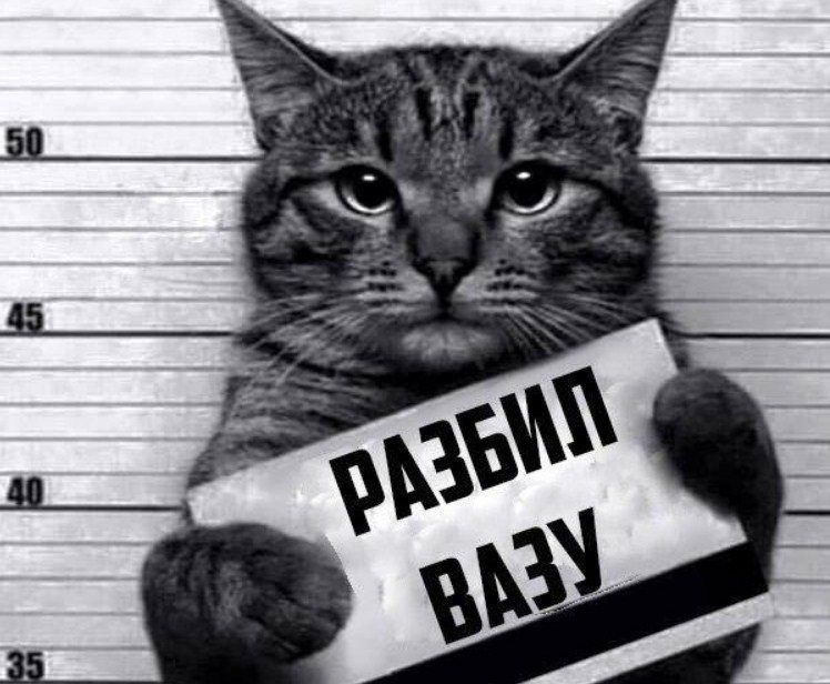 Имущество застраховано