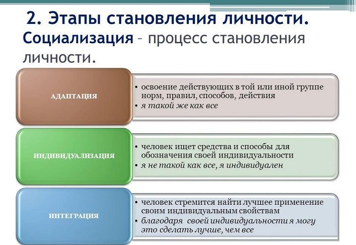 Этапы становления личности