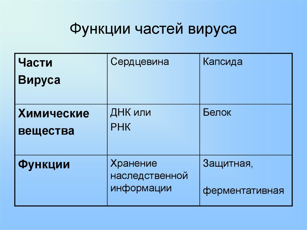Функции вирусов: биология