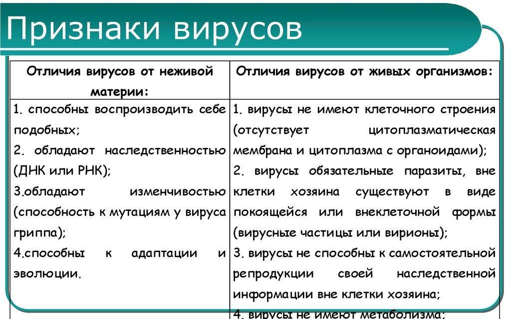 Признаки вирусов
