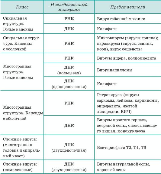 Таблица