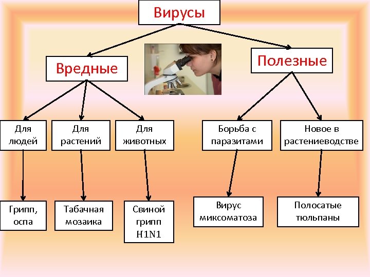 Польза и вред