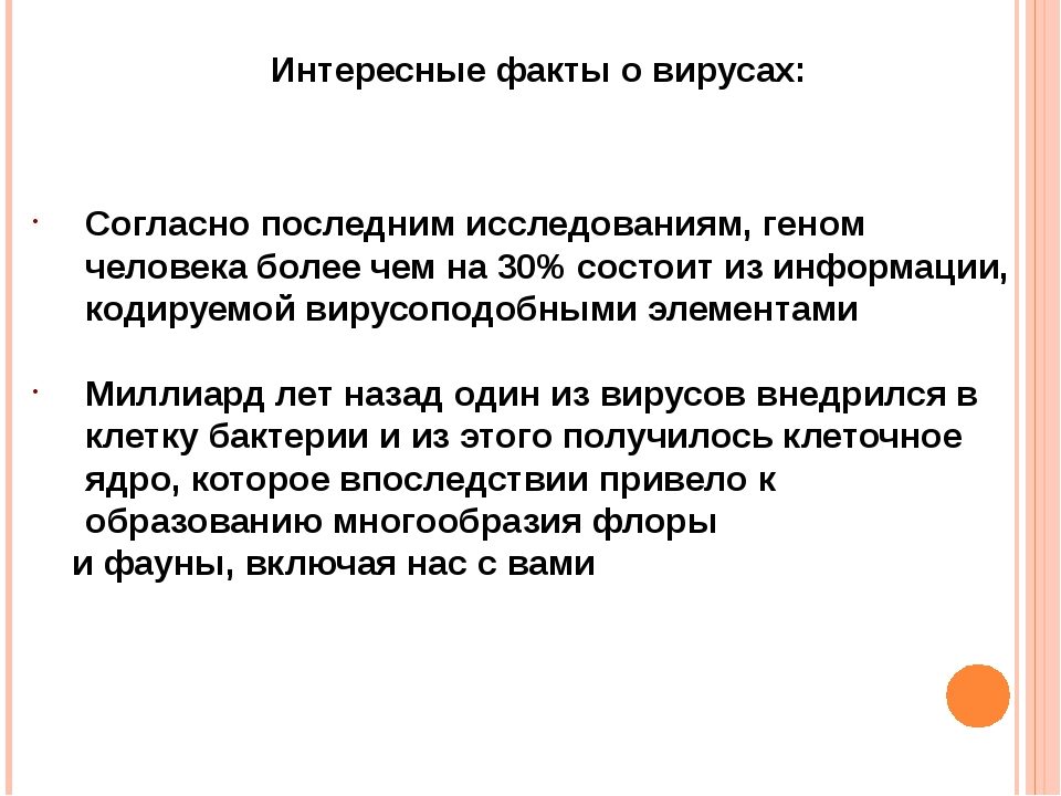 Интересные факты