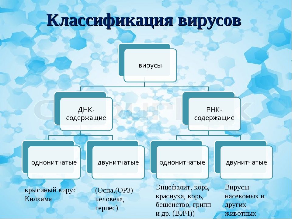 Классификация