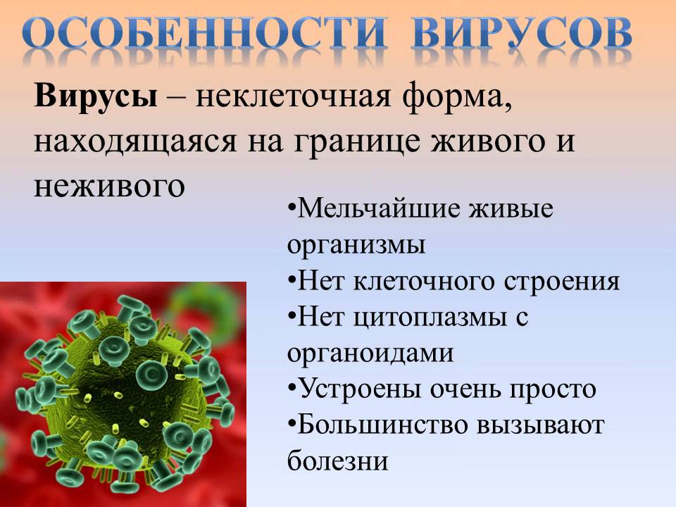 Жизнь вирусов