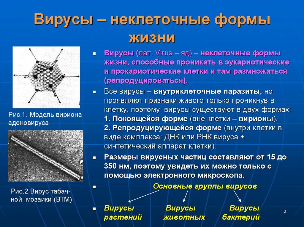Определение вируса