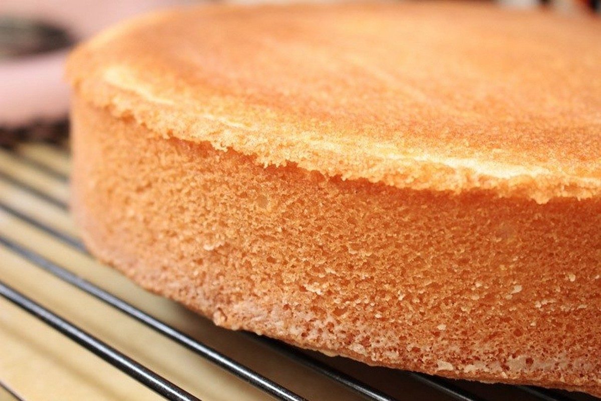 Коржи