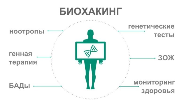 Составляющие