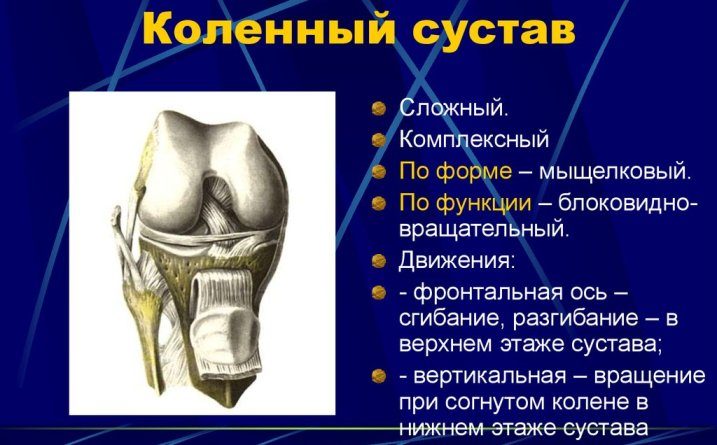 Коленный сустав