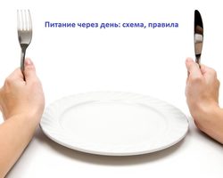 Питание через день: перезагружаем обмен веществ и худеем