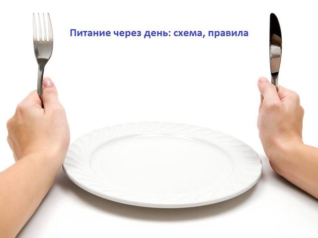 Питание через день: перезагружаем обмен веществ и худеем