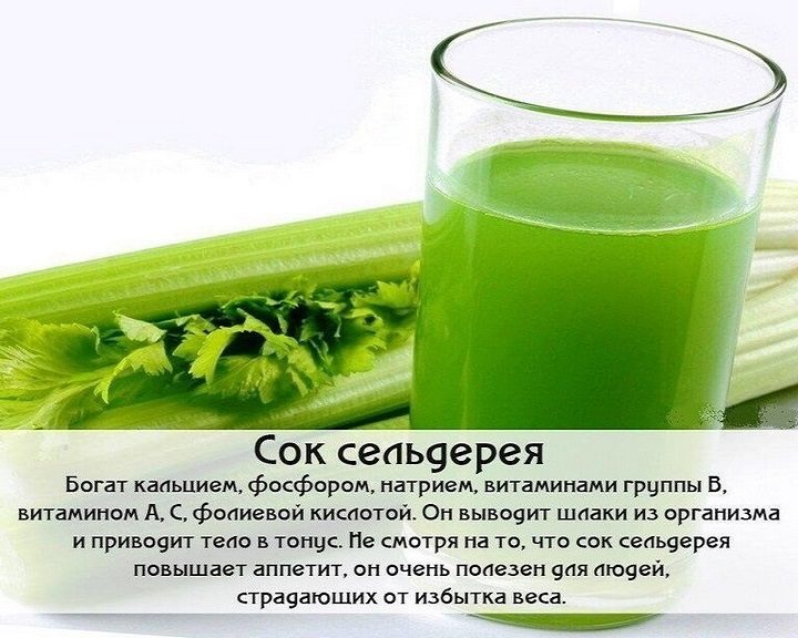Польза сока сельдерея