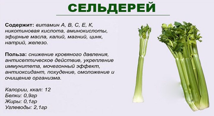 Состав сельдерея
