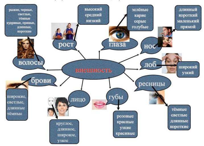Урок «описание внешности человека 7 класс»: презентация