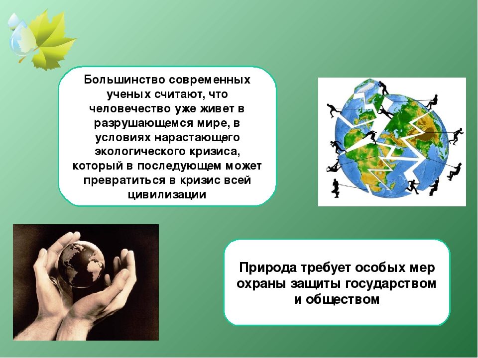 Факты о природе