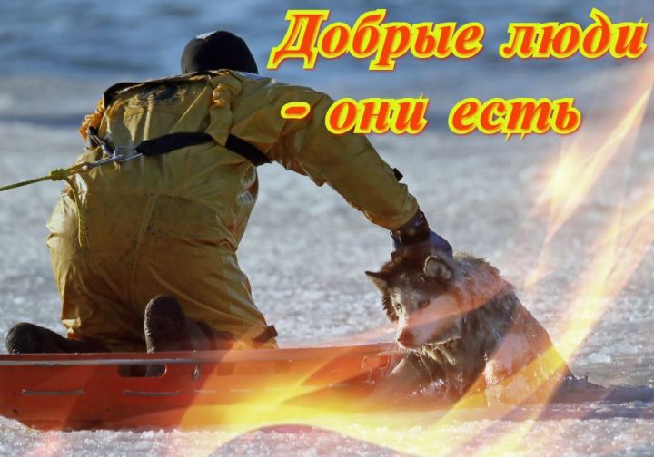 Как я понимаю доброту