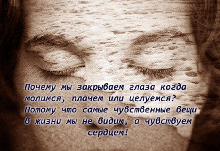 Мудрые фразы