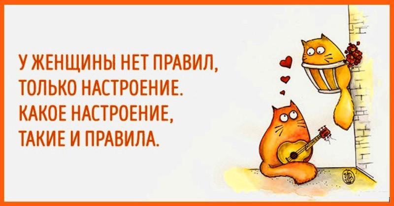 Картинки-для-настроения-на-весь-день-свежая-подборка-5