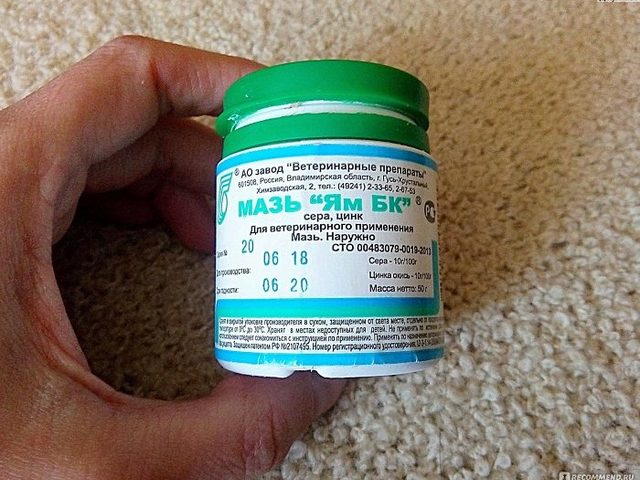 Мазь ЯМ Бк для кошек и собак, животных: от чего помогает, инструкция по применению, отзывы