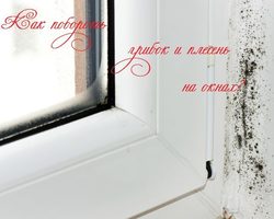 Плесень, грибок на деревянных, пластиковых окнах, откосах: причины, как убрать и предотвратить?