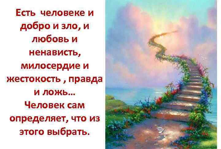 Почему человечество не может отказаться от зла и жестокости