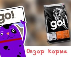 Корм Гоу для собак: состав, суточная норма по весу, отзывы ветеринаров