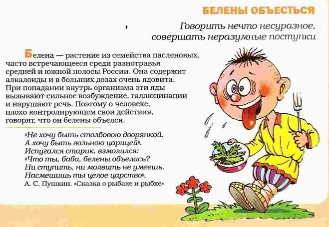 О белене