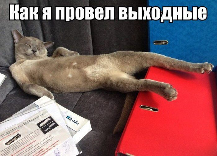 Красивые-и-прикольные-открытки-картинки-с-воскресеньем-3
