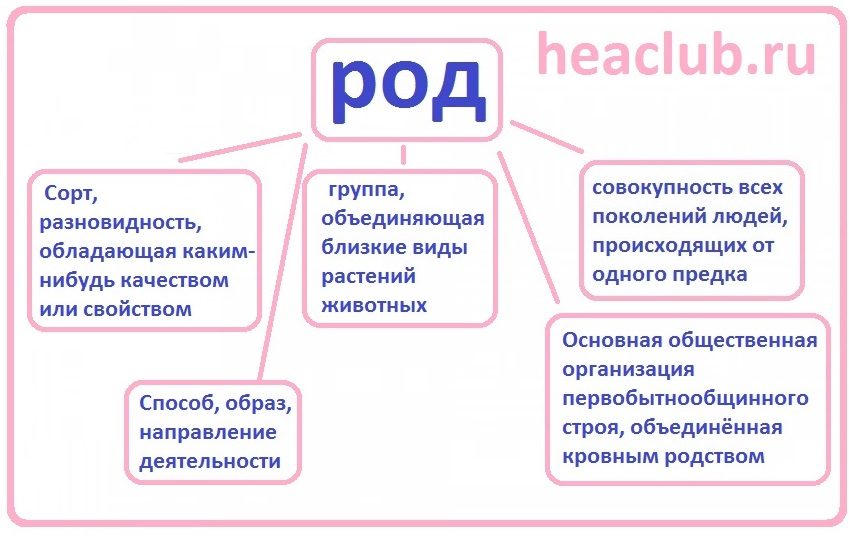 Значение слова"род"