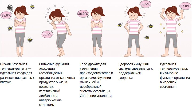 Показатели организма