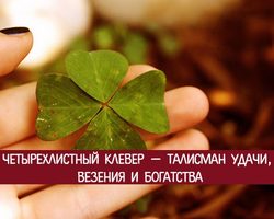 Что означает символ клевер четырехлистный: описание, клевер как талисман