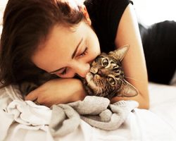 Почему у кота воняет изо рта тухлятиной? Когда нужно идти к врачу, если у кота изо рта воняет тухлятиной?