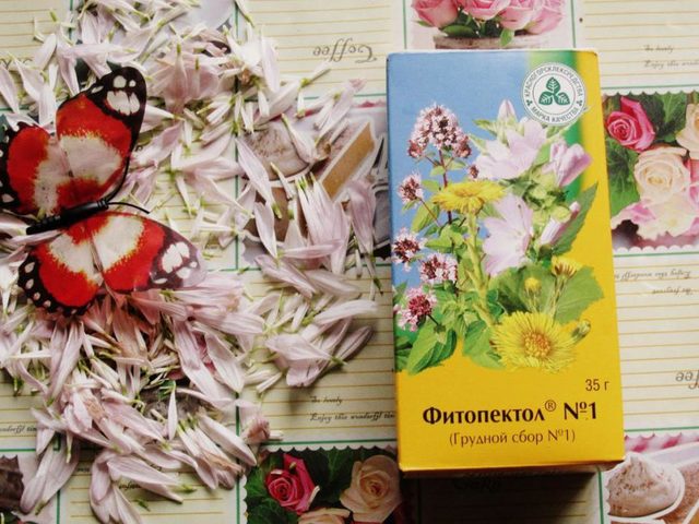 Грудной сбор № 1,2,3,4 состав, при каком заболевании принимать? Грудной сбор № 1,2,3,4: инструкция по применению