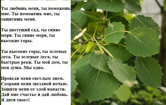 Слова