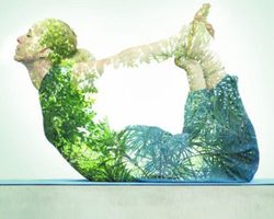 Доша: что это такое и как ее определить? Характеристика Вата-доша, Питта-доша, Капха-доша
