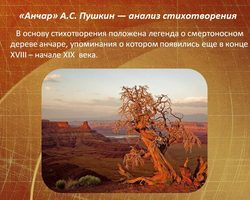 Анализ стихотворения А.С. Пушкина «Анчар»: сочинение, план, лексика, композиция, вывод