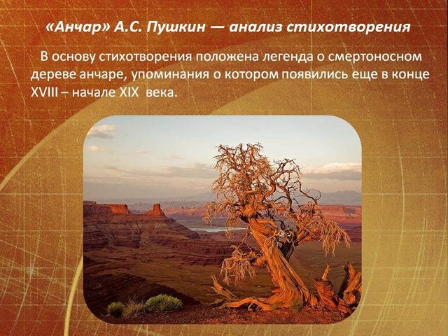 Анализ стихотворения А.С. Пушкина «Анчар»: сочинение, план, лексика, композиция, вывод