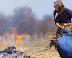 Можно ли жечь мусор на своем приусадебном участке: требования пожарной безопасности