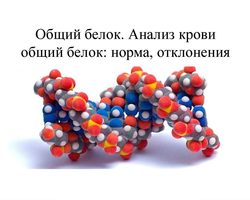 Общий белок в крови: норма у женщин, причины отклонения, способы нормализации показателей