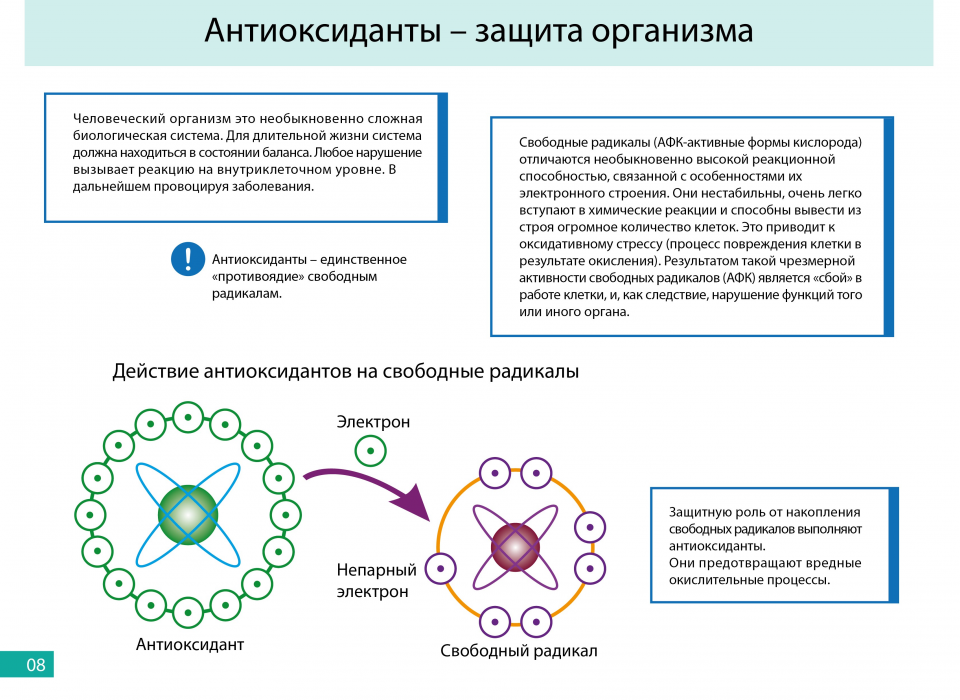 Действие антиоксидантов