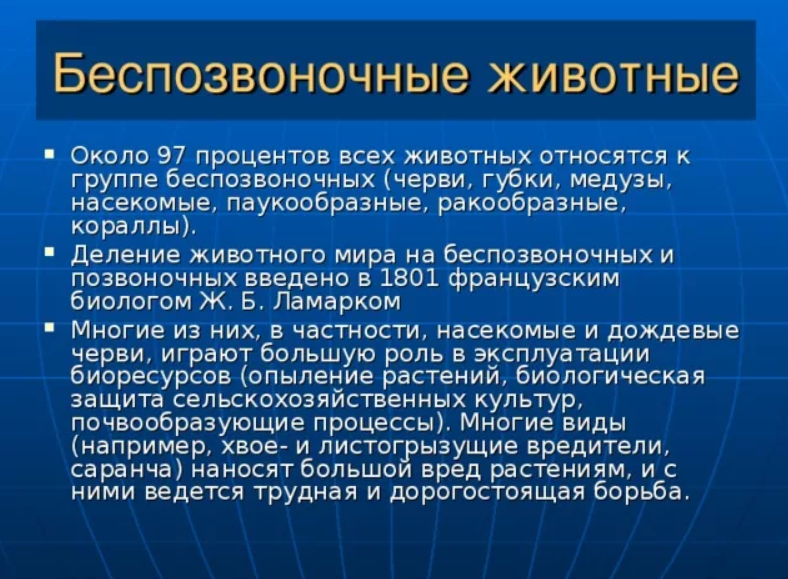 Факты про беспозвоночных