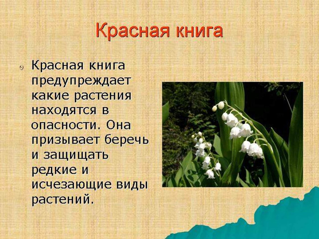Красная книга