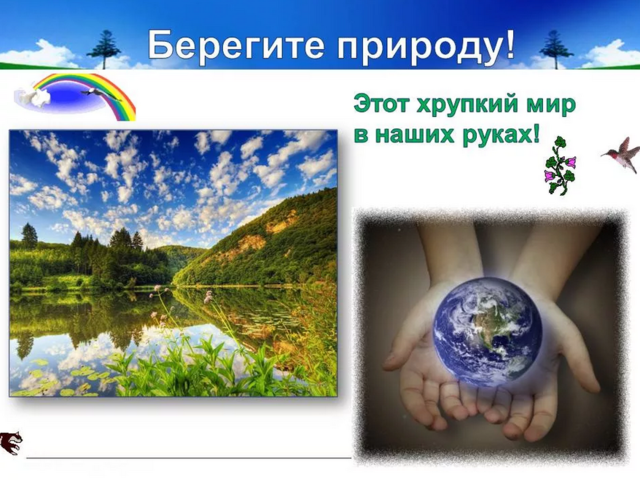 Сочинение-рассуждение на тему «Берегите природу»: почему, зачем нужно беречь природу, что это значит?