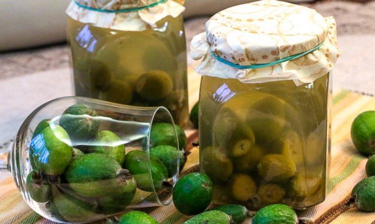 Компотик