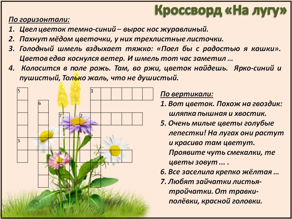 Кроссворд