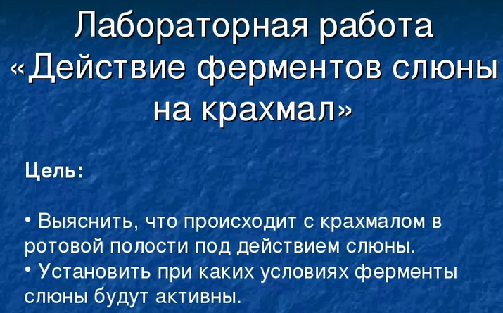 Действие ферментов слюны на крахмал