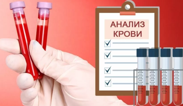 Расшифровка анализа крови