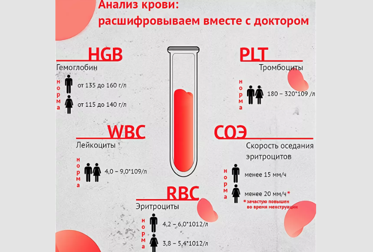 Биохимический, клинический анализ крови взрослого